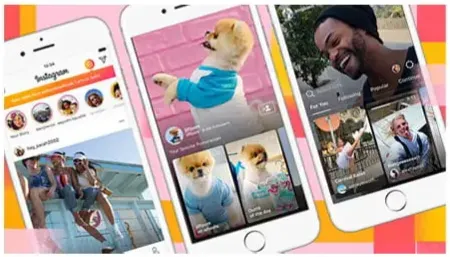Instagram video downloader